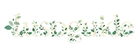 lusoguide